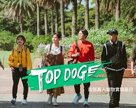 91视频APP《TOP DOG》免费在线观看