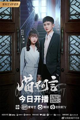 91视频专区《喵不可言》免费在线观看